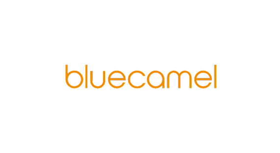 Blue Camel